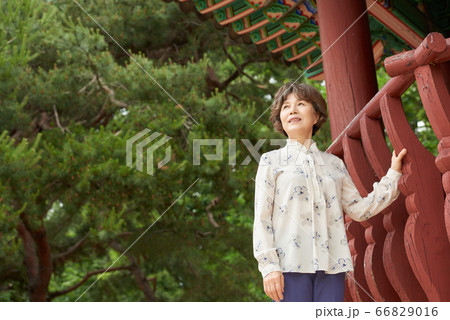 女性 女 女の子 66829016