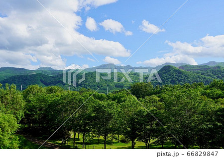 星観緑地の見晴らし山から見る手稲山 66829847