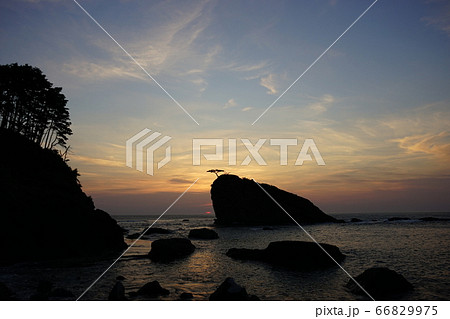 三陸ジオパーク茂師海岸の夜明け 茂師の松島 三陸ジオパーク茂師海岸の夜明け 茂師の松島 66829975