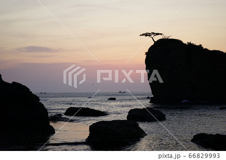 三陸ジオパーク茂師海岸の夜明け 茂師の松島 三陸ジオパーク茂師海岸の夜明け 茂師の松島 66829993