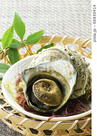 さざえの壺焼き16 66830414