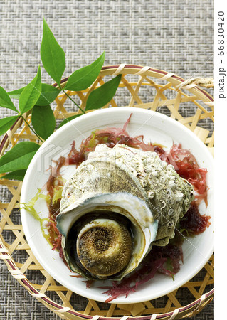 さざえの壺焼き19 66830420