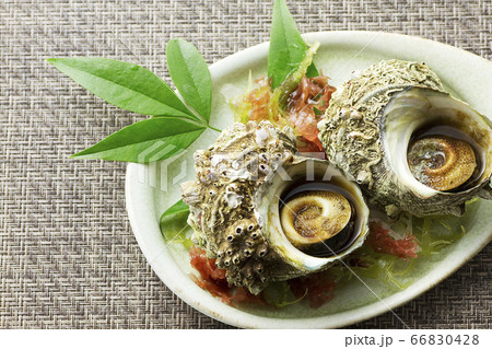 さざえの壺焼き22 さざえの壺焼き22 66830428