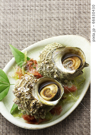 さざえの壺焼き23 66830430