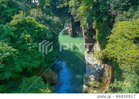 新緑の甲斐の猿橋から桂川を眺める 66830917