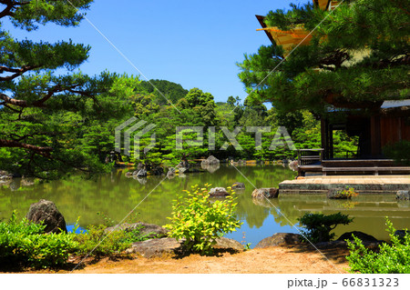 京都市北区の金閣寺の風景、金閣寺の葦原島【6月】 66831323