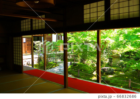 京都市左京区の圓光寺の風景、圓光寺の境内の日本庭園【6月】 京都市左京区の圓光寺の風景、圓光寺の境内の日本庭園【6月】 66832686