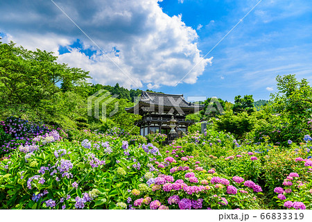 京都府・丹州観音寺 京都府・丹州観音寺 66833319