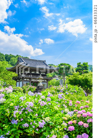京都府・丹州観音寺 66833321