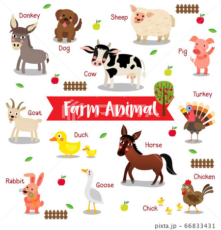 Farm animal white background with animal name... - Stock Illustration  [66833431] - PIXTA
