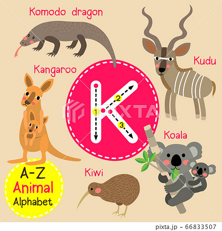 Letter K Tracing English Vocabulary Flashcard のイラスト素材