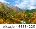 Beautiful colorful mountain in autumn season, pine tree forest in nature landscape 66834225