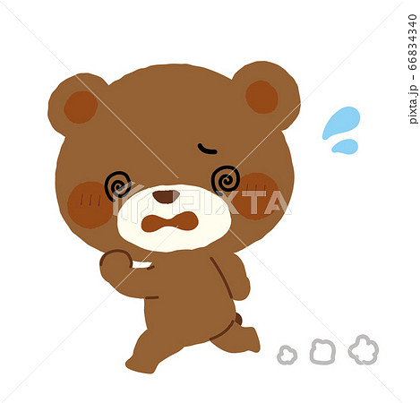 走っているくまさん 66834340