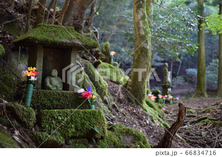 求菩提山 求菩提山 66834716