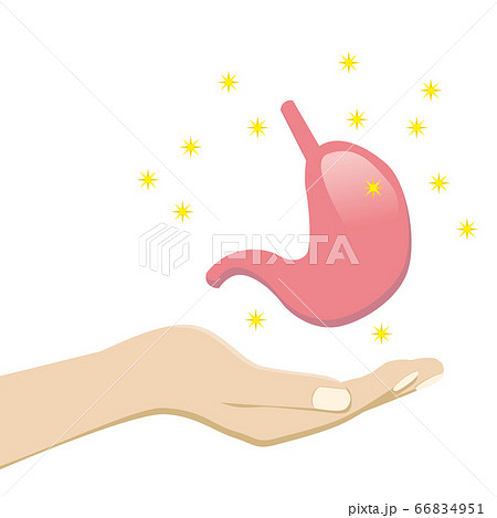 手のひら掌の上に胃袋のイラスト 医療健康のイメージのイラストのイラスト素材
