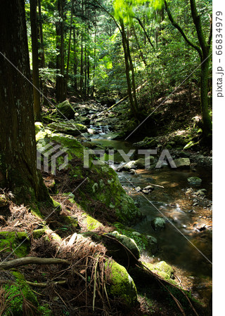 涼し気な渓谷　　くらがり渓谷 66834979