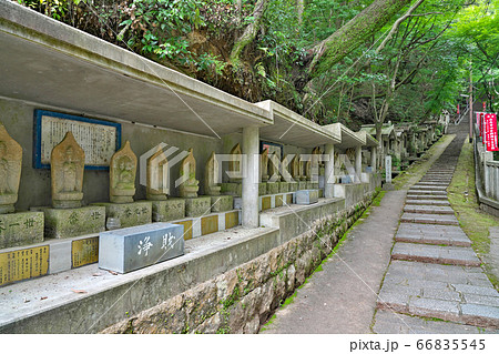 【大龍寺】 兵庫県神戸市中央区神戸港地方 66835545