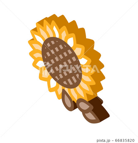 sunflower seeds icon vector outline illustration sunflower seeds icon vector outline illustration 66835820