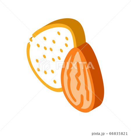 almond nut icon vector outline illustration 66835821