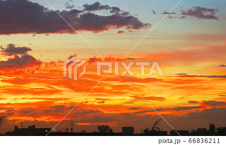 埼玉県川口市の夕焼け空の風景 66836211