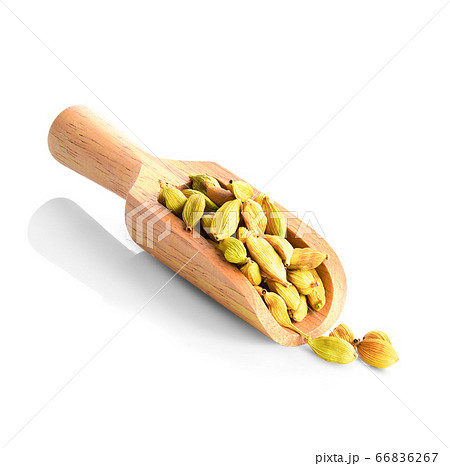 close up of dried cardamom isolated on white 66836267