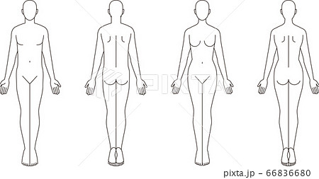 人体のイラスト 男性女性の略図 のイラスト素材