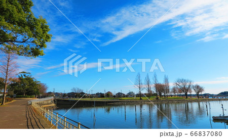 手賀沼公園（千葉県我孫子市）の風景 66837080