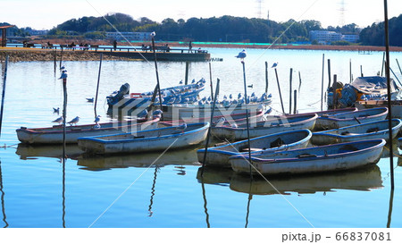 手賀沼公園（千葉県我孫子市）の風景 66837081