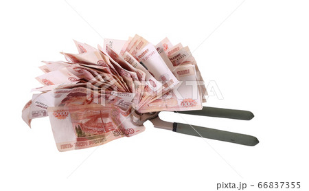Allegory of the global financial crisis - the Russian Ruble in the grip of economic crisis, on a white background Allegory of the global financial crisis - the Russian Ruble in the grip of economic crisis, on a white background 66837355
