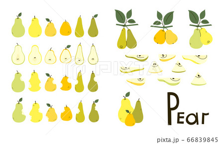 Pears whole, cut, bitten. Pear half and slices. Pear tree branches with leaves. Set of vector objects in yellow, green, orange colors isolated on white. Positive flat design. Cartoon style. Clip art Pears whole, cut, bitten. Pear half and slices. Pear tree branches with leaves. Set of vector objects in yellow, green, orange colors isolated on white. Positive flat design. Cartoon style. Clip art 66839845