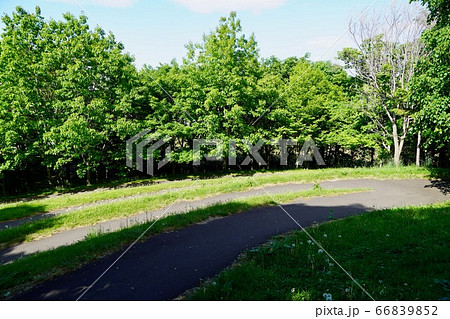 星観緑地で見晴らし山に登ってみる 66839852