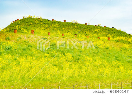 春空の下のポッコリ古墳 春空の下のポッコリ古墳 66840147