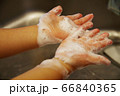 手洗い　こども 66840365