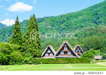 初夏の白川郷(昼) 初夏の白川郷(昼) 66841637