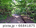 山道 66841875