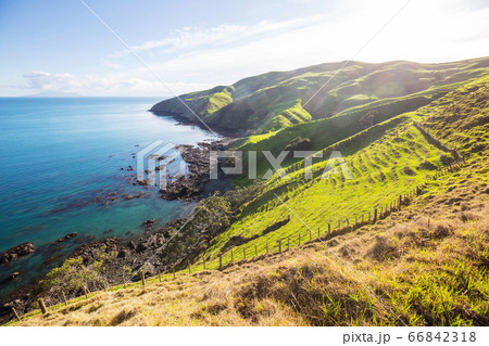 New Zealand hills New Zealand hills 66842318