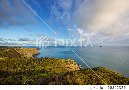 New Zealand coast New Zealand coast 66842326