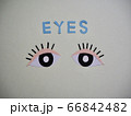 ボディパーツ大きくてパッチリな目 ボディパーツ大きくてパッチリな目 66842482