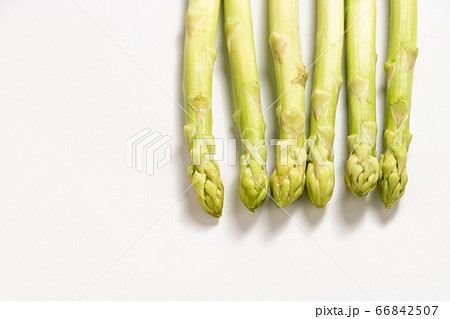 アスパラガス(グリーンアスパラガス)。(白バック) 66842507