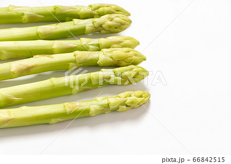 アスパラガス(グリーンアスパラガス)。(白バック) アスパラガス(グリーンアスパラガス)。(白バック) 66842515