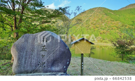 箱根のお玉ヶ池 66842538
