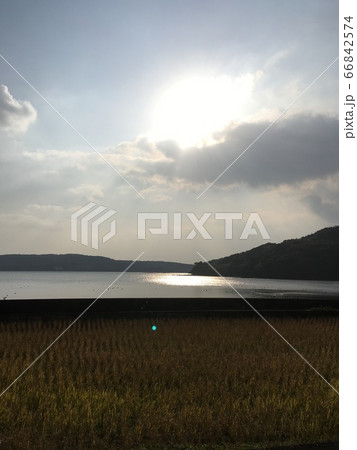 稲穂と海 66842574
