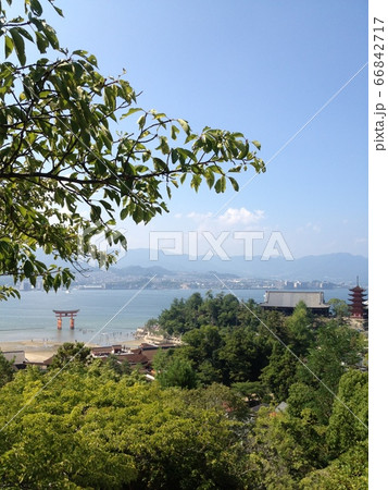 宮島に行こう 宮島に行こう 66842717