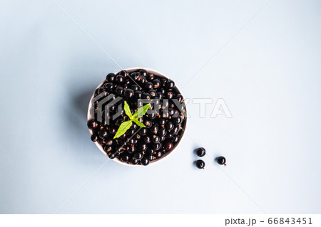 Organic blackcurrant berries in white glass cup 66843451