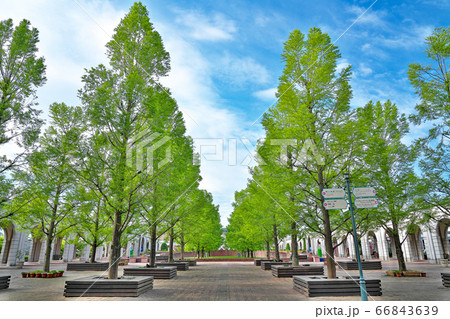 【神戸フルーツ・フラワーパーク大沢】 兵庫県神戸市北区大沢町上大沢 66843639