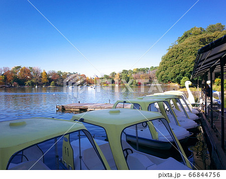 洗足池　ボート乗場 66844756