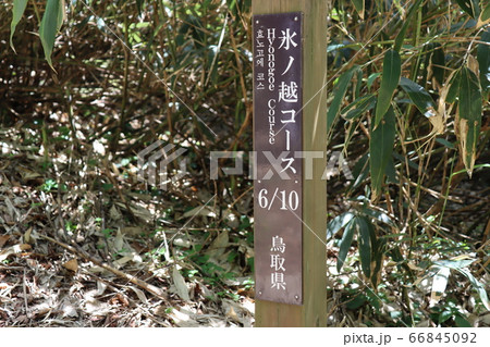 氷ノ山で撮影(兵庫県、鳥取県) 氷ノ山で撮影(兵庫県、鳥取県) 66845092