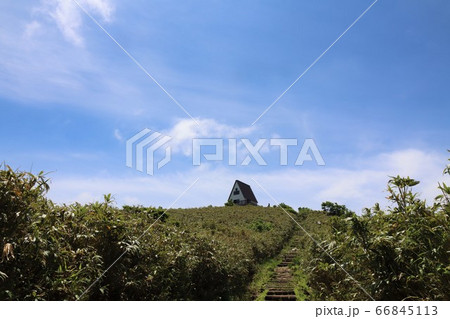 氷ノ山で撮影（兵庫県、鳥取県） 66845113