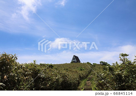 氷ノ山で撮影（兵庫県、鳥取県） 66845114