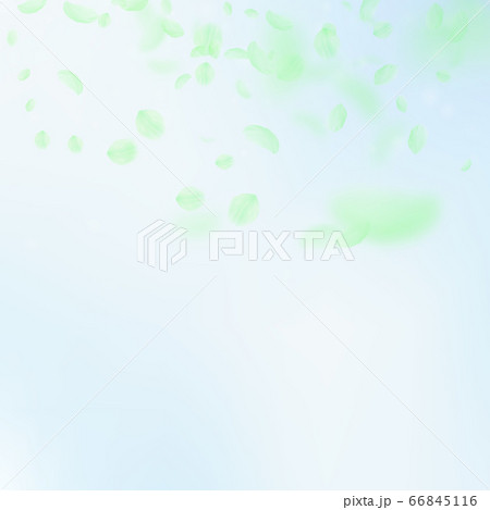 Green flower petals falling down. Bewitching roman 66845116